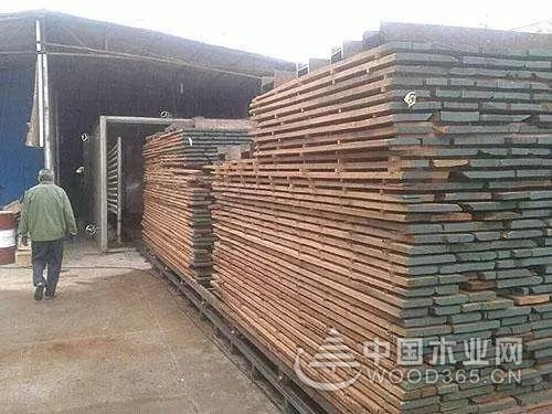 正立:木材干燥过程开裂?这几种应对措施必须知道