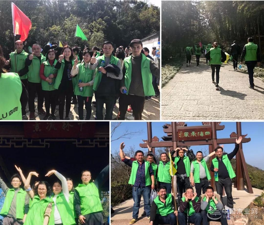 盛大起航,品木森鹿木产品集成展厅即将开放!