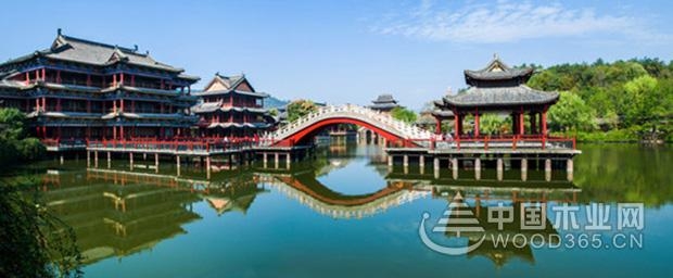 壮象:香杉的秘密,它凭什么被称为国木之首?