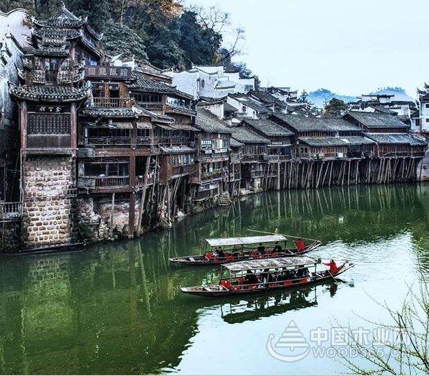 壮象:香杉的秘密,它凭什么被称为国木之首?