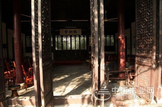 壮象:香杉的秘密,它凭什么被称为国木之首?
