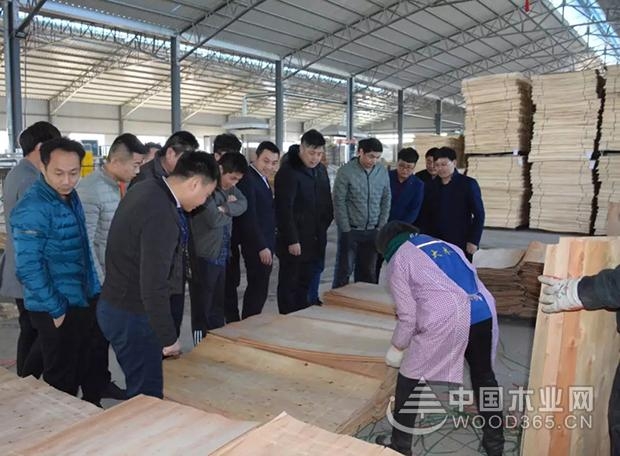 “追本溯源”--优饰销售部春季游学