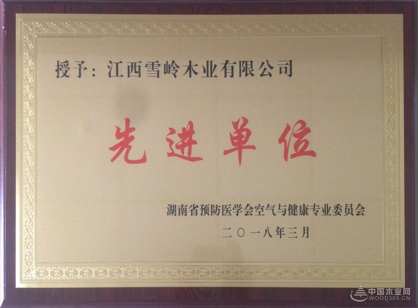实力所致 江西雪岭尊宝娱乐荣获“先进单位”称号