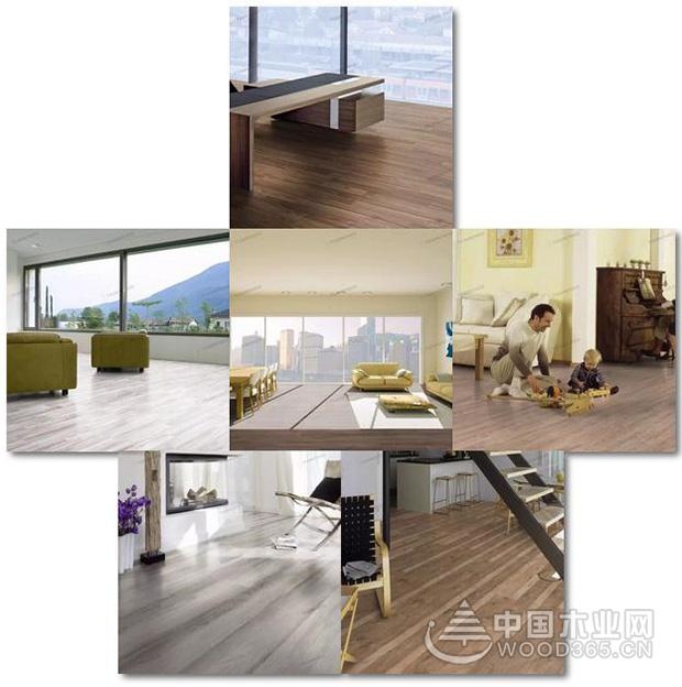 兔宝宝地板,共享来自德国的高品质