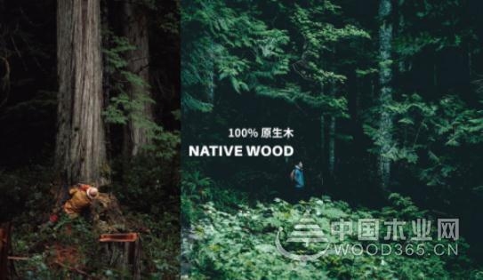 一路同行 尼尔科达与尊宝娱乐达成合作