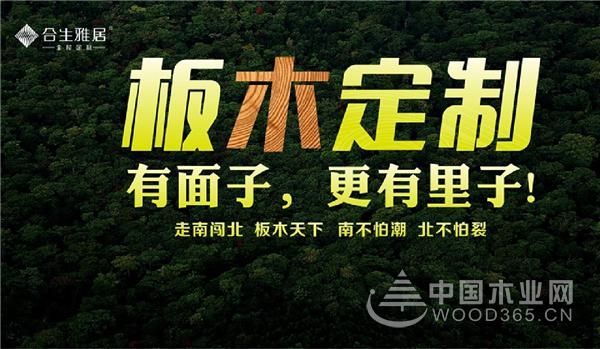 广州定制家居展完美收官,合生雅居邀您共赴《远大前程》