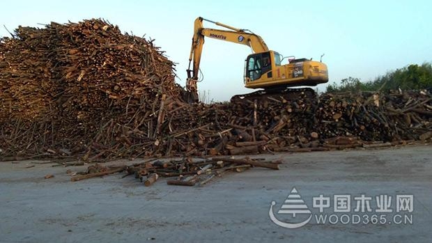 科林发布原木纯净板气味等级提升综合解决方案及战略合作加盟邀请