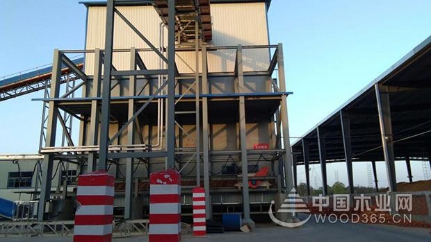 科林发布原木纯净板气味等级提升综合解决方案及战略合作加盟邀请