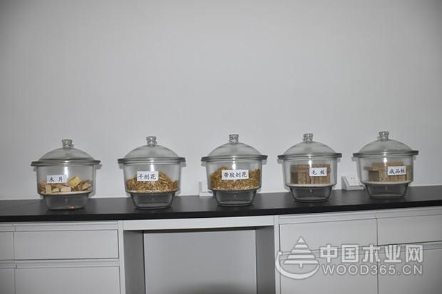 科林发布原木纯净板气味等级提升综合解决方案及战略合作加盟邀请