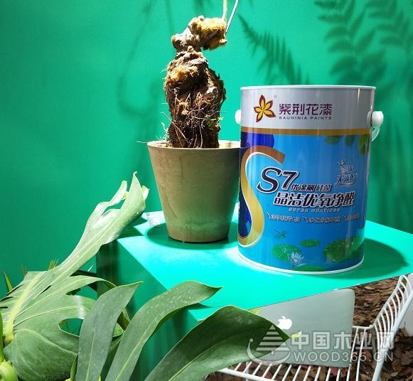 紫荆花涂料携环保涂料和健康家居理念 亮相杭州国际超级健康展