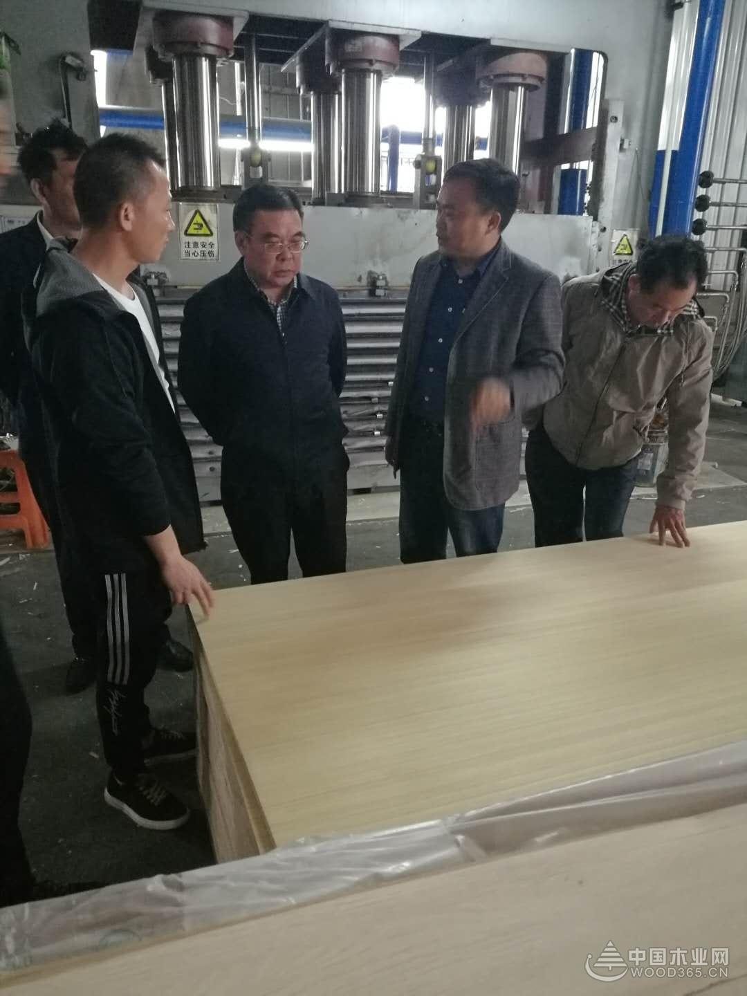 实力凸显 鹏森缘迎多位领导莅临考察
