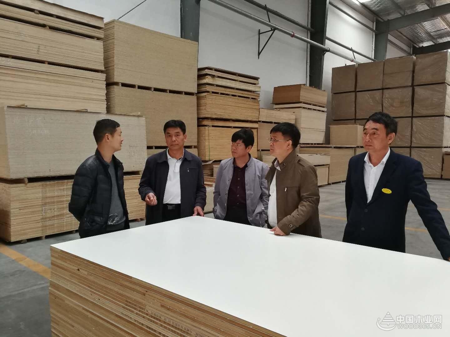 实力凸显 鹏森缘迎多位领导莅临考察