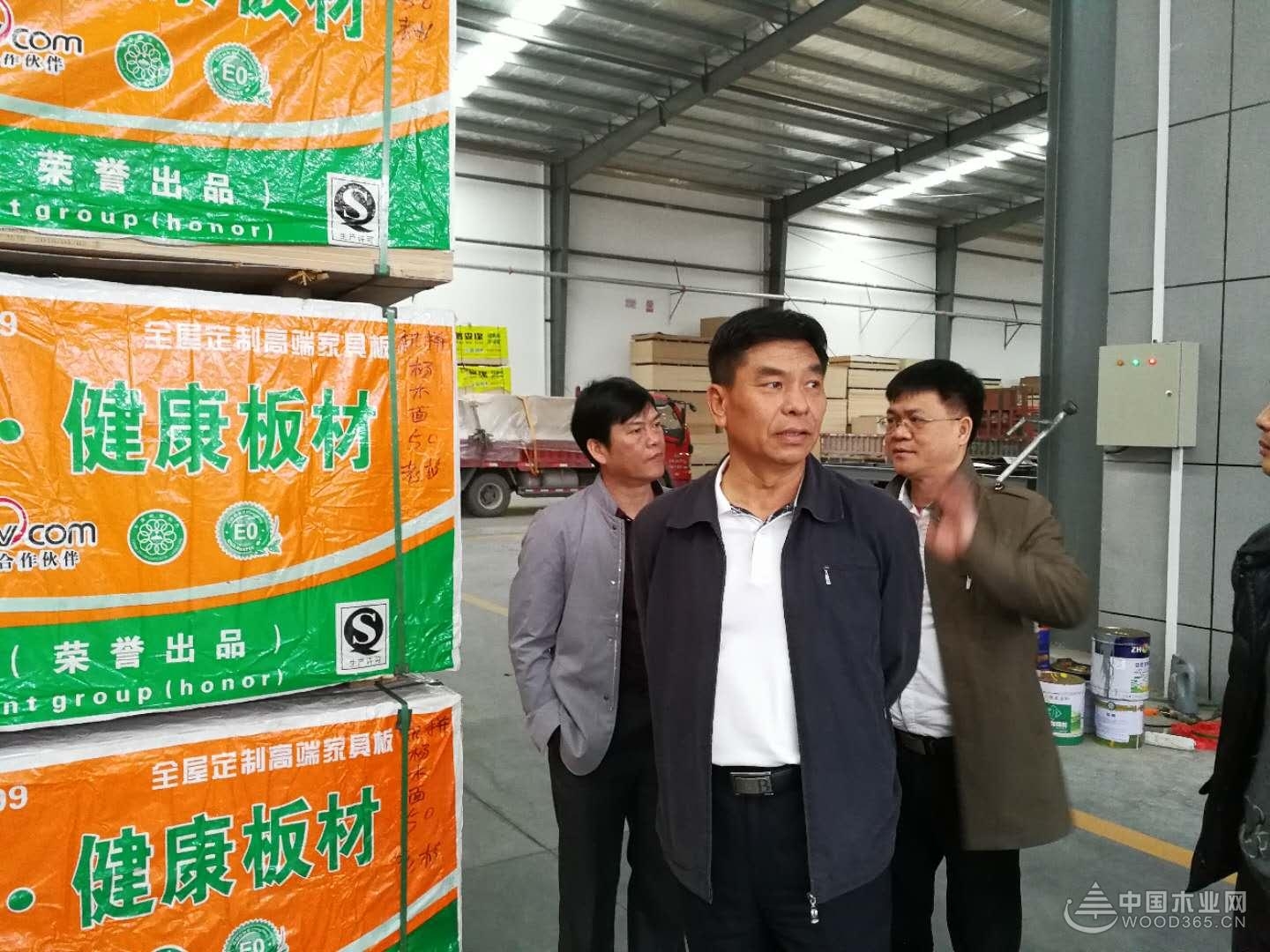 实力凸显 鹏森缘迎多位领导莅临考察