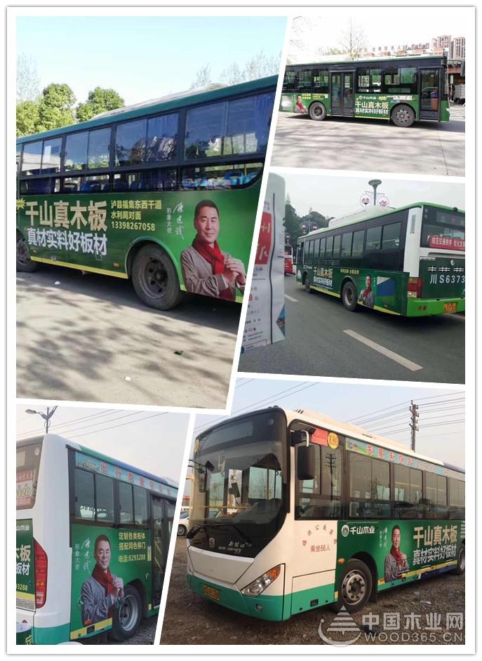 加大品牌宣传 千山尊宝娱乐斥巨资投放车身广告
