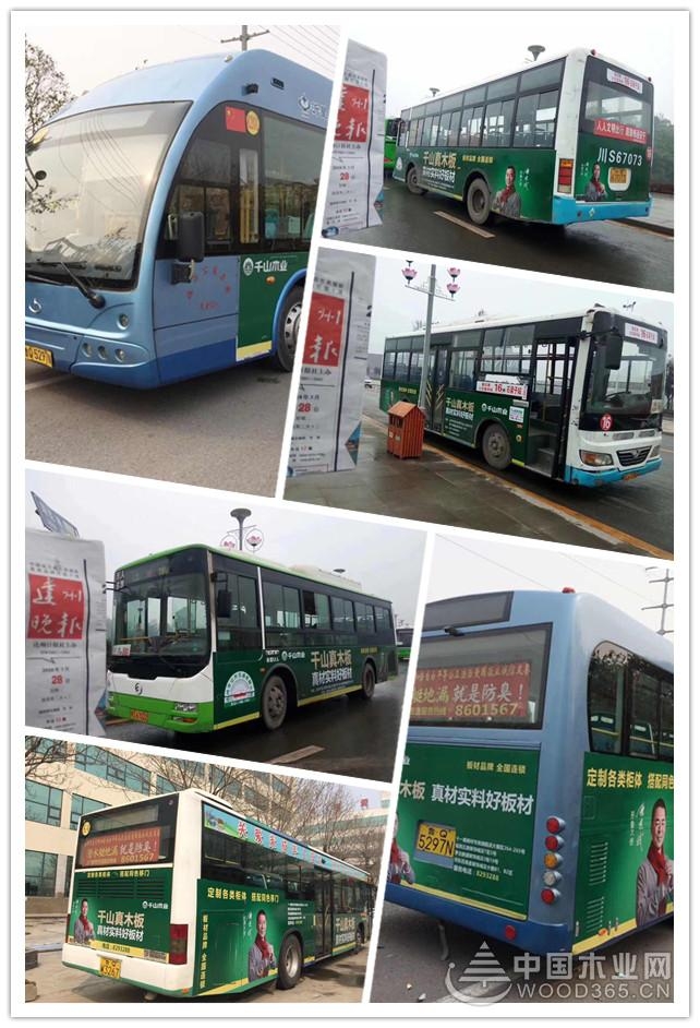 加大品牌宣传 千山尊宝娱乐斥巨资投放车身广告