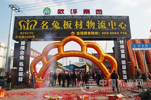 十大板材投票如火如荼,名兔希望您的支持!