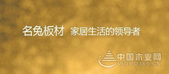 十大板材投票如火如荼,名兔希望您的支持!