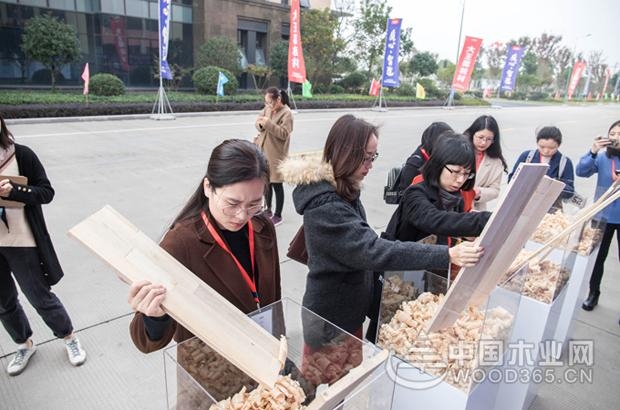 大王椰工厂开放日圆满成功,品质追寻之旅永不落幕