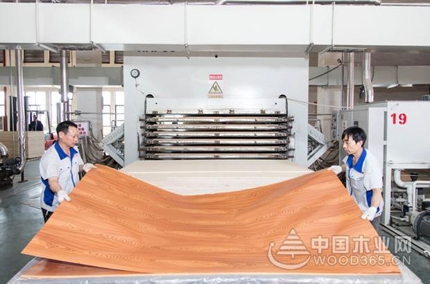 大王椰工厂开放日圆满成功,品质追寻之旅永不落幕