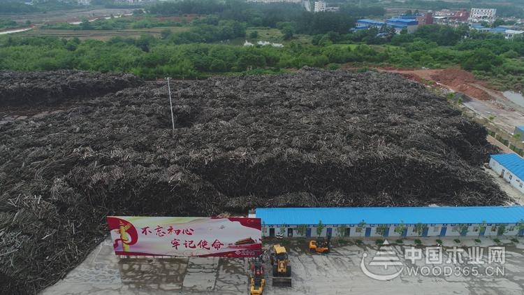 欧亚标准点击进入领导到访科林将推动双方关系深入发展
