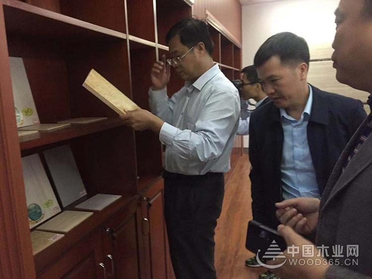 实力见证 全力以赴 广西鹏森千赢国际娱乐免费试玩多次迎接领导考察