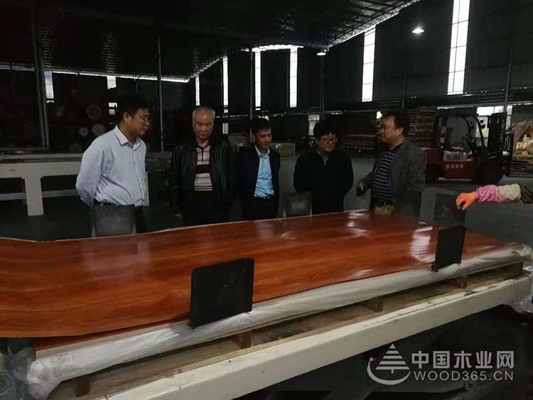 实力见证 全力以赴 广西鹏森千赢国际娱乐免费试玩多次迎接领导考察