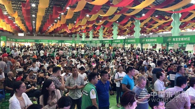 兔宝宝:再见2018,你好2019!