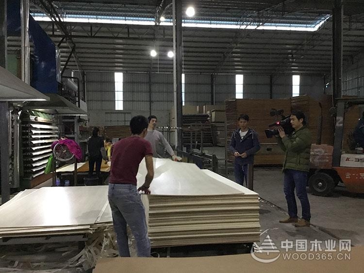 钦州市委领导莅临昌宏千赢国际娱乐免费试玩总部视察指导