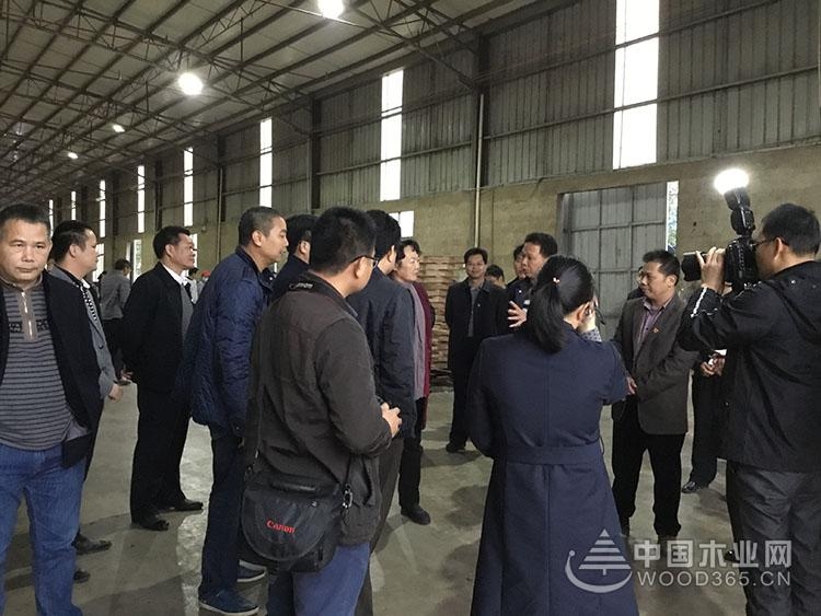 钦州市委领导莅临昌宏千赢国际娱乐免费试玩总部视察指导