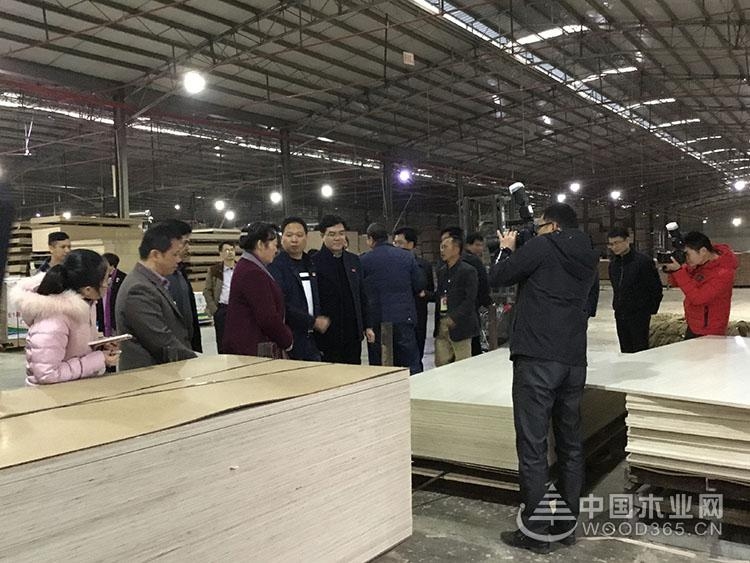 钦州市委领导莅临昌宏千赢国际娱乐免费试玩总部视察指导