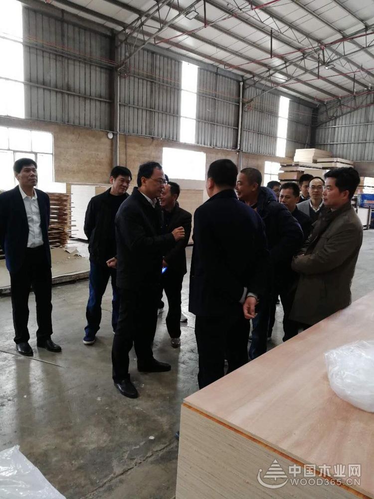 钦州市委领导莅临昌宏千赢国际娱乐免费试玩总部视察指导