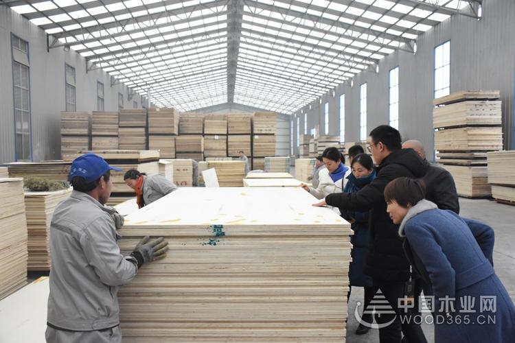 千森集团2018年全国经销商千赢国际娱乐免费试玩发展研讨会圆满落幕