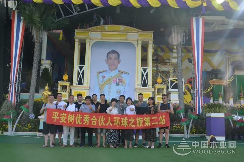 他乡风情·“泰”多留念|平安树优秀合伙人环球之旅第二站圆满结束!