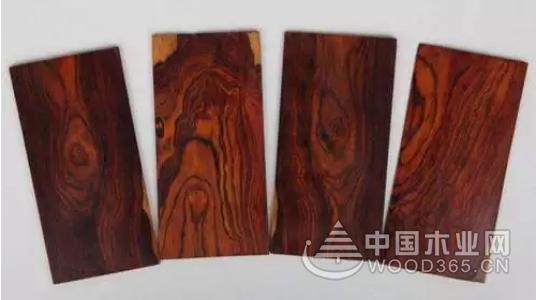 中美洲黄檀木材树种详解