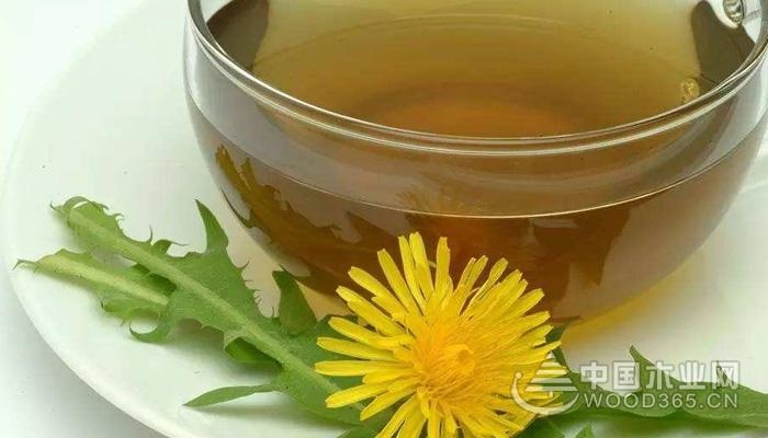 蒲公英泡水喝的功效及注意事项