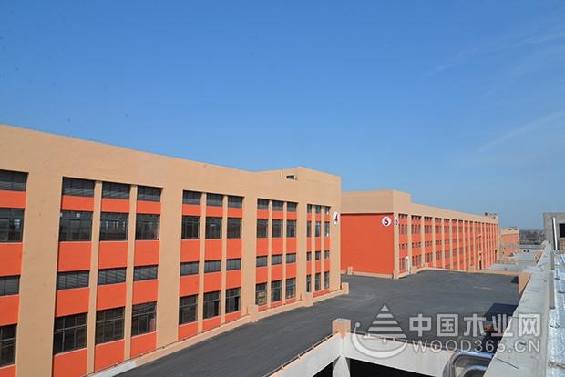 大王椰明仕亚洲手机版:品牌全面战略升级,巨轮扬帆高端领航