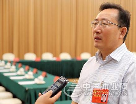 山东费县:着力传统木业转型升级 通过创新向新领域变革