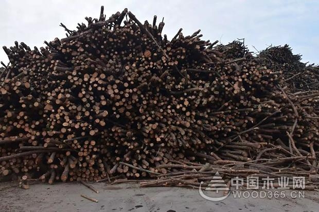 定制家居挺进华东华中,刨花板企业将迎来发展新契机