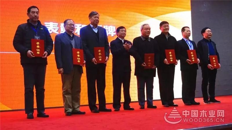 【年报】满载而归|2017丰林年度大事记