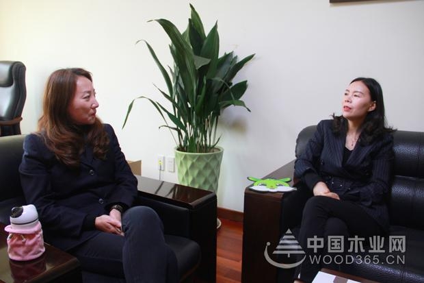 兔宝宝雷梅:回归本质 促进板材行业深度发展