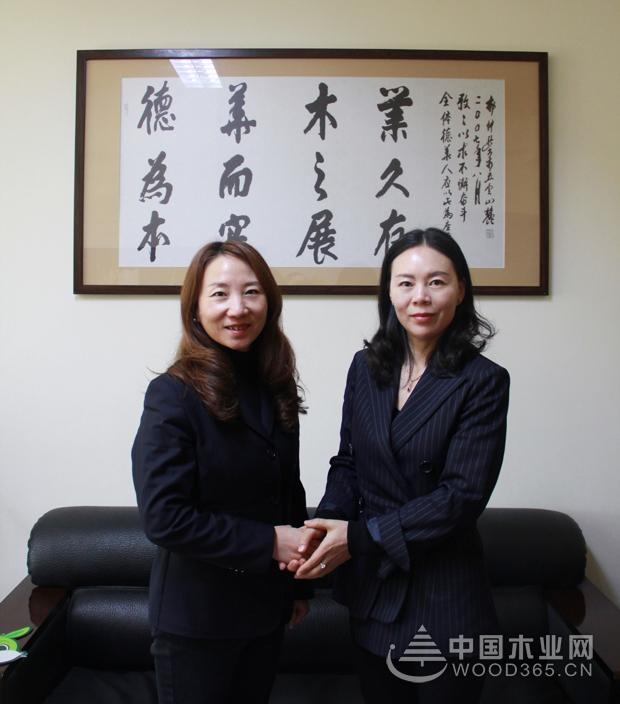 兔宝宝雷梅:回归本质 促进板材行业深度发展