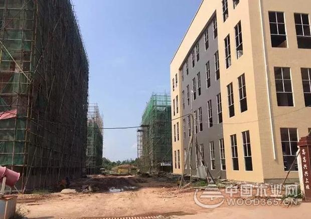 关停搬迁南康家具厂房一房难求