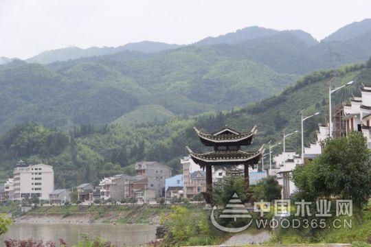 貴州錦屏木材加工產業助力脫貧致富