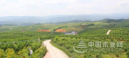 貴州錦屏木材加工產業助力脫貧致富