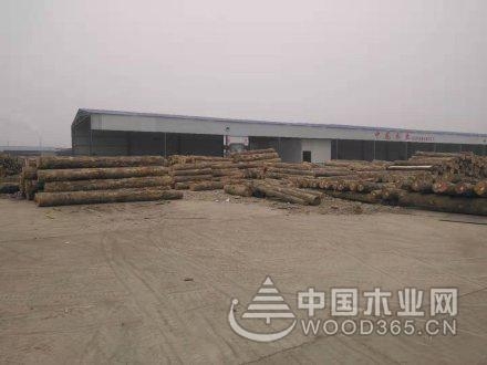 岚山环保局领导调研木材行业整治进展