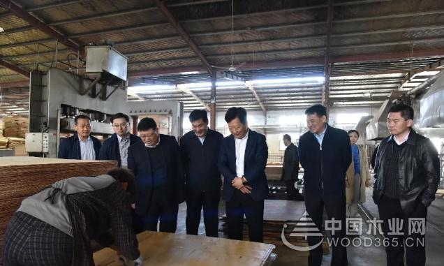 临沂市委副书记郑德雁调研费县木业产业发展情况
