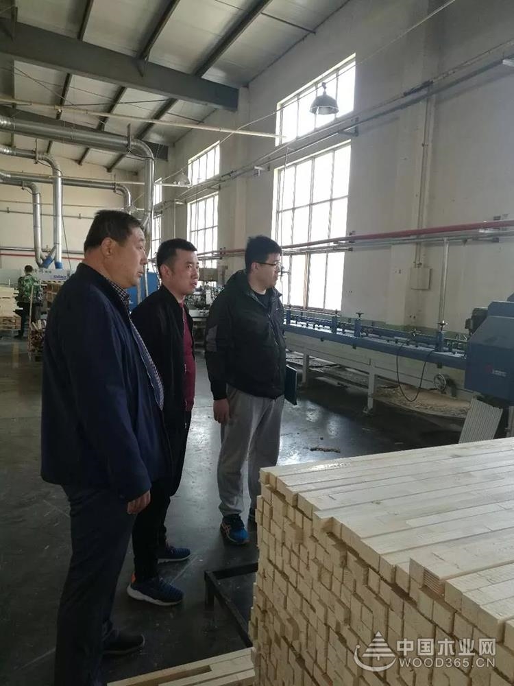 山东寿光开展林业安全生产隐患大排查