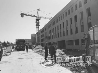 悦丰无需申请免费送彩金项目十月份将投入使用