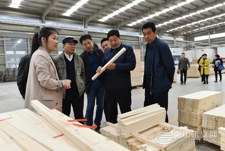 临沂市林业局实地调研木业产业新旧动能转换进程