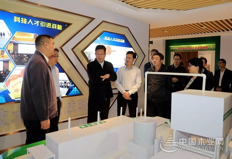 柳州鹿寨加快林业产业高质量发展步伐